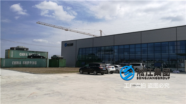 蘭州消防管道用DN125橡膠避震接頭